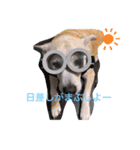 動物にありがとう（個別スタンプ：10）