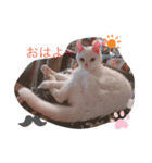 動物にありがとう（個別スタンプ：13）