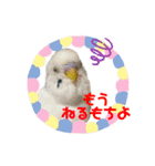 もんざえもんワールド（個別スタンプ：1）