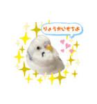 もんざえもんワールド（個別スタンプ：2）