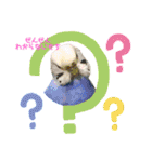 もんざえもんワールド（個別スタンプ：8）