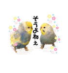 もんざえもんワールド（個別スタンプ：11）