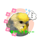 もんざえもんワールド（個別スタンプ：14）