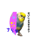 もんざえもんワールド（個別スタンプ：16）
