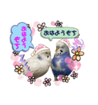 もんざえもんワールド（個別スタンプ：19）