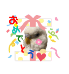もんざえもんワールド（個別スタンプ：21）