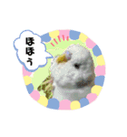 もんざえもんワールド（個別スタンプ：23）