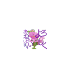 花ハム敬語（個別スタンプ：13）