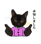 黒猫づくし、まるごと敬語 猫の館ME Vol.2（個別スタンプ：8）