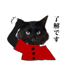 黒猫づくし、まるごと敬語 猫の館ME Vol.2（個別スタンプ：12）