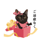 黒猫づくし、まるごと敬語 猫の館ME Vol.2（個別スタンプ：13）