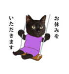 黒猫づくし、まるごと敬語 猫の館ME Vol.2（個別スタンプ：14）