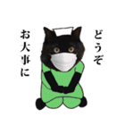 黒猫づくし、まるごと敬語 猫の館ME Vol.2（個別スタンプ：15）