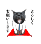 黒猫づくし、まるごと敬語 猫の館ME Vol.2（個別スタンプ：21）