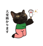黒猫づくし、まるごと敬語 猫の館ME Vol.2（個別スタンプ：23）