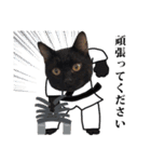 黒猫づくし、まるごと敬語 猫の館ME Vol.2（個別スタンプ：24）