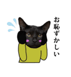 黒猫づくし、まるごと敬語 猫の館ME Vol.2（個別スタンプ：29）