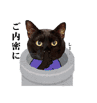 黒猫づくし、まるごと敬語 猫の館ME Vol.2（個別スタンプ：30）