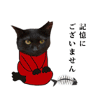 黒猫づくし、まるごと敬語 猫の館ME Vol.2（個別スタンプ：31）