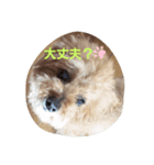 O次郎スタンプ1（個別スタンプ：1）