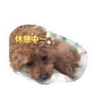 O次郎スタンプ1（個別スタンプ：3）