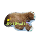 O次郎スタンプ1（個別スタンプ：7）