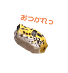 ヒョウモントカゲモドキのオムライス2（個別スタンプ：6）