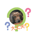 ぱちまま一家 2（個別スタンプ：11）