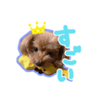 シルヴィちゃん #2（個別スタンプ：3）