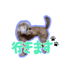 シルヴィちゃん #2（個別スタンプ：5）