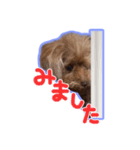 シルヴィちゃん #2（個別スタンプ：6）