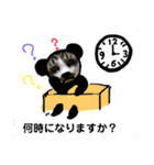 お仕事で、使えるパンダひかる（個別スタンプ：19）