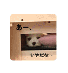 kellyのスタンプ1（個別スタンプ：22）