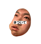 ポインポ（個別スタンプ：1）