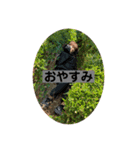 ポインポ（個別スタンプ：3）