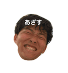 ポインポ（個別スタンプ：5）