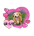 もこと愉快な仲間たち♡（個別スタンプ：7）