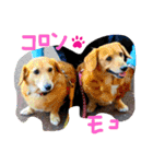 もこと愉快な仲間たち♡（個別スタンプ：8）