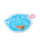 よんひきのわんこ①（個別スタンプ：11）
