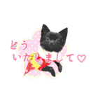 よんひきのわんこ①（個別スタンプ：24）