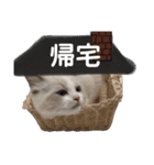 あるふぉんすすたんぷ（個別スタンプ：14）