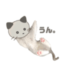 あるふぉんすすたんぷ（個別スタンプ：19）