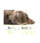 マロ'sスタンプ（個別スタンプ：2）