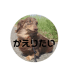 マロ'sスタンプ（個別スタンプ：4）