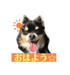 まーきくりょん（個別スタンプ：4）