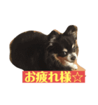 まーきくりょん（個別スタンプ：5）
