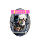 まーきくりょん（個別スタンプ：10）
