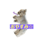 まーきくりょん（個別スタンプ：11）