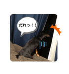ワンだふる^_^ スタンプ（個別スタンプ：4）