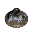 beagleの日常（個別スタンプ：4）